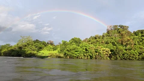 Rainbow in the Kapuas River Stock Footage 317111319