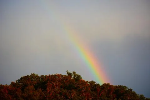 Rainbow Knobs Stock Photos