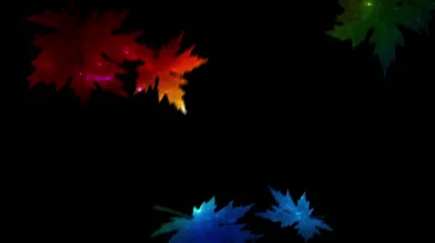 Rainbow Leaves Stock Footage 42854479