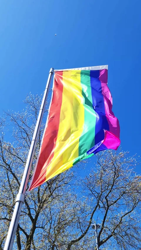 Rainbow LGBT pride flag waving in the wind with a tree and clear blue sky in the Stock Footage 347030870