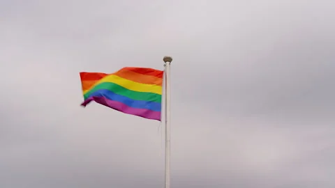 Rainbow LGBTQ Pride Flag Waving on Flagpole Stock Footage 343447142