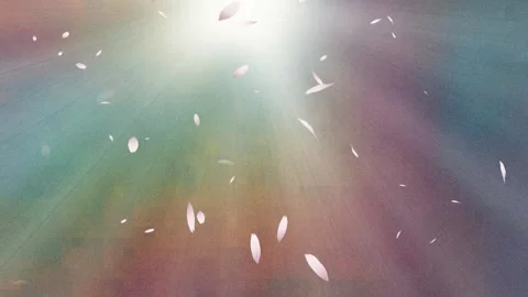 Rainbow Light Rays with Falling White Petals Animation Clip Stock Footage 331616362