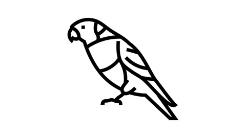 Rainbow lorikeet parrot bird line icon animation Video stock 326133003