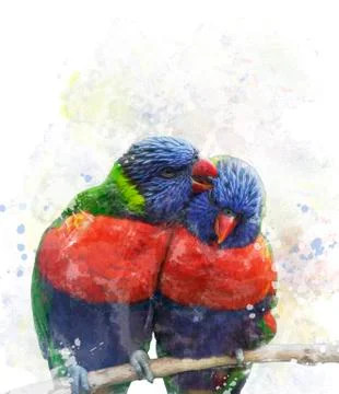 Rainbow lorikeet parrots 스톡 일러스트