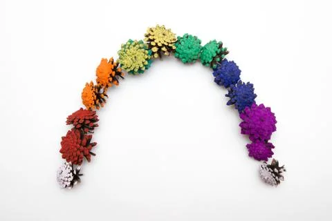 Rainbow made of painted cone pine Stock Photos