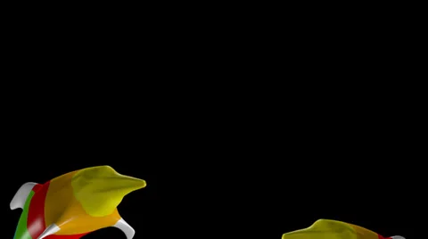 Rainbow Madness Stock Footage 30444254