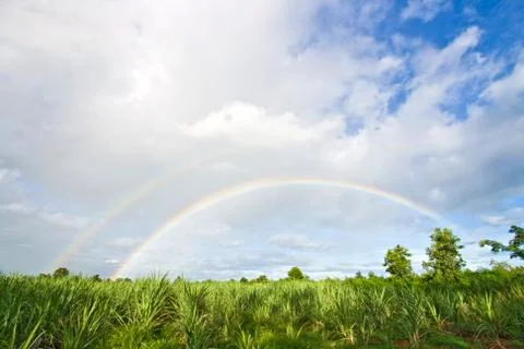 Rainbow in meadows grass Stock Photos