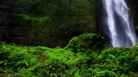 Rainbow Mist natural waterfall Vídeos de archivo 201092008