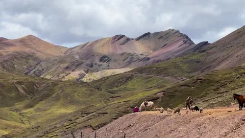 Rainbow Mountain trailhead llamas Vinicunca Peru Perú morning blue sky Montaña Stock Footage 328591427