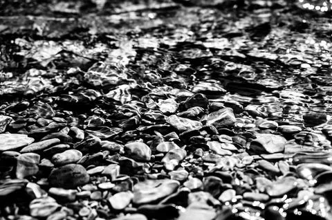 Rainbow multi-colored rocks in Avalanche creek leading towards Lake McDonald at Foto stock