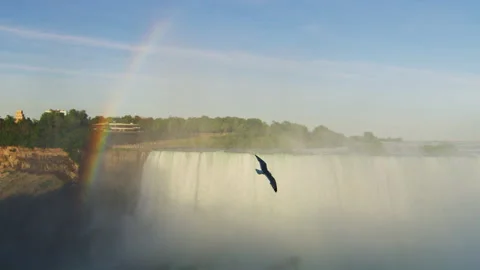 Rainbow at Niagara Falls Vídeo Stock 218148621