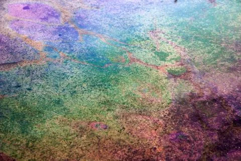 Rainbow on oil Stock Photos