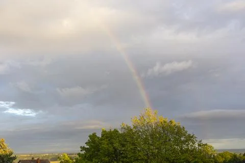 Rainbow out of tree Stock Photos