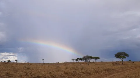 Rainbow over Africa Stock Footage 125473272