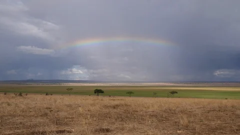 Rainbow over Africa Video stock 125473832