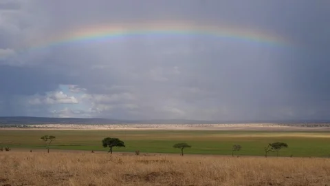 Rainbow over African Landscape Stock Footage 125472628