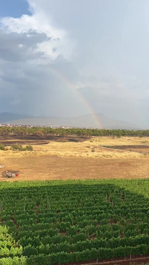 Rainbow Over Burnt Field and Rain Clouds After Wildfire in Serbia 4K 스톡 동영상 341602338