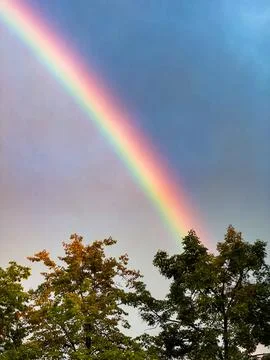 Rainbow Over a Calm River and Lush Green Trees at Sunset Foto stock