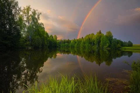 Rainbow over calm water of a forest lake. Stock Photos