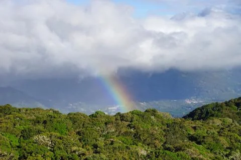 A rainbow over the darker cloud background with green sunlit trees on the for Stock Photos