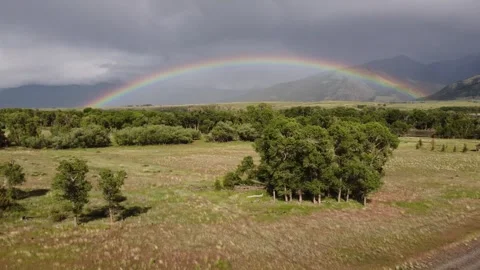 Rainbow over field and forest mountains Stock Footage 312031106