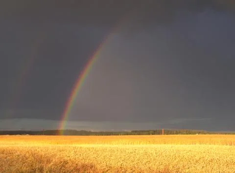 Rainbow over the field Stock Photos