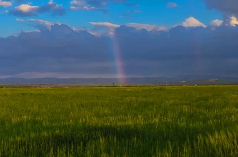 Rainbow over field Stock Photos