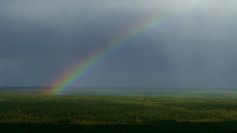 Rainbow over the forest with all colors Stock Footage 194444040