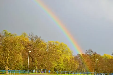 Rainbow over the forest, cloudy sky and sunset. Summer. Day. Stock Photos