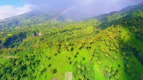 Rainbow over the forest-covered hill Stock Footage 138221752