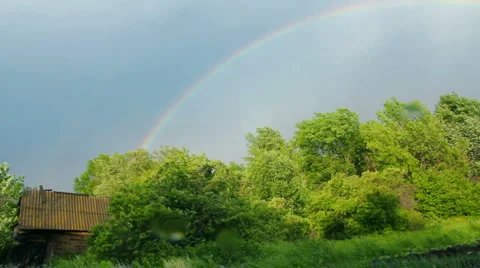 Rainbow over forest Stock Footage