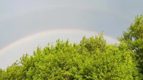 Rainbow over the forest Stock Footage 246330649