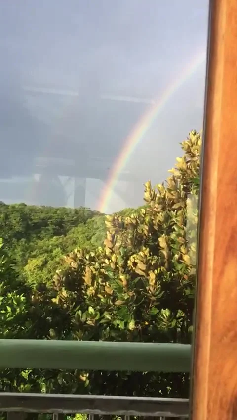 Rainbow over the forest, Indonesia 스톡 동영상 212273845