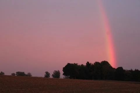 Rainbow over a forest Stock Photos