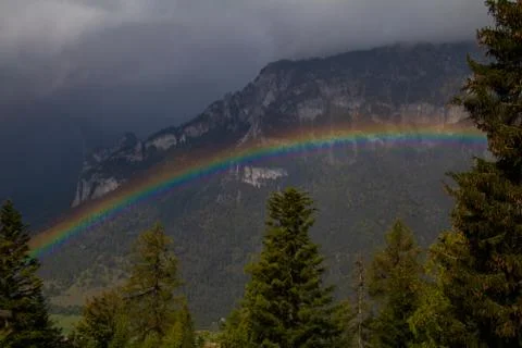 Rainbow over a forest Stock Photos