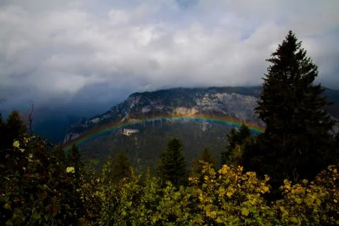 Rainbow over a forest Stock Photos