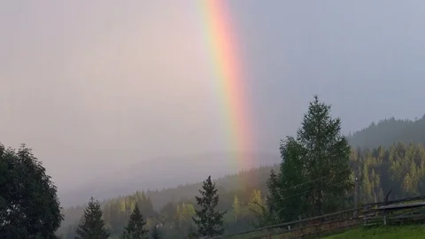 Rainbow over the forest - tilt up Stock Footage 78999521