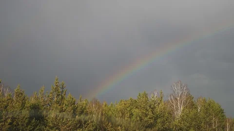 Rainbow over the forest . the view from the window of a moving car Stock-Footage 129503340