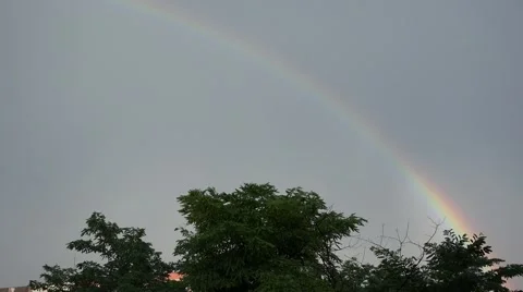 Rainbow over green tree  Stock Footage 46212956