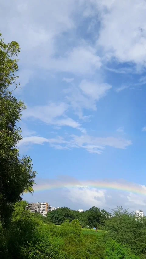 Rainbow Over Green Trees With Windy Sky and Clouds Stock-Footage 345833406