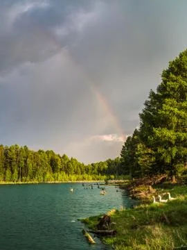 Rainbow over a lake surrounded by forest. 스톡 사진