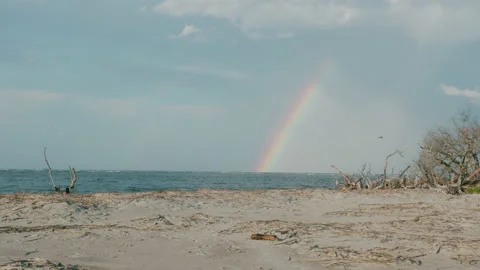 Rainbow Over Ocean Beyond Sandy Beach in Charleston South Carolina Stock Footage 133738769