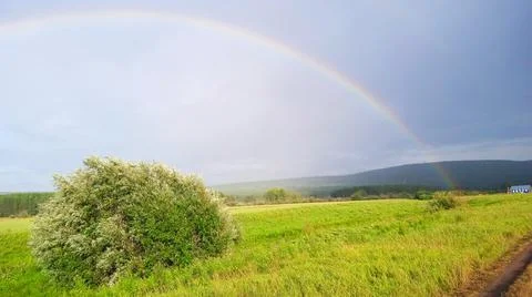 Rainbow over a pine forest Stock Photos