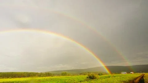 Rainbow over a pine forest Stock Photos