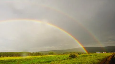 Rainbow over a pine forest Stock Photos