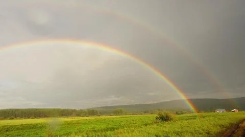 Rainbow over a pine forest Stock Photos