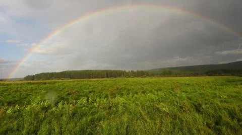 Rainbow over a pine forest Stock Photos