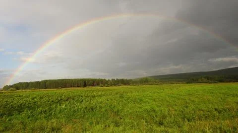 Rainbow over a pine forest Stock Photos