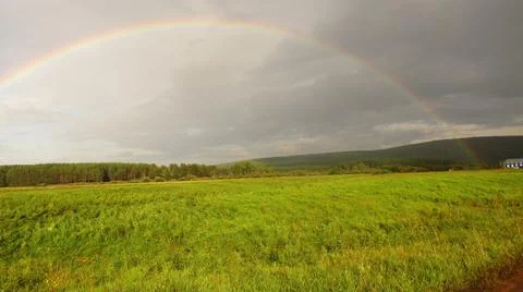 Rainbow over a pine forest Stock Photos