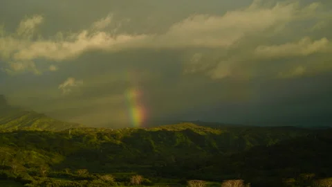 Rainbow Over Rainforest Stock Footage 245572719